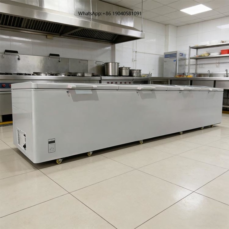 2688 Large Single-Temperature  - Commercial Chest Freezer review and price