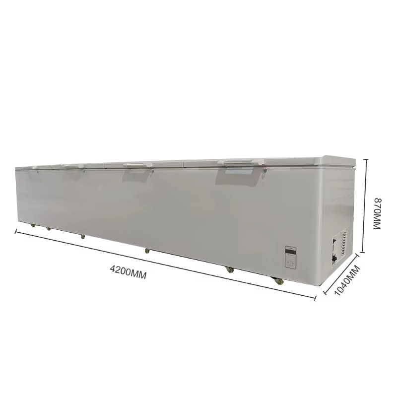 2688 Large Single-Temperature  - Commercial Chest Freezer review and price