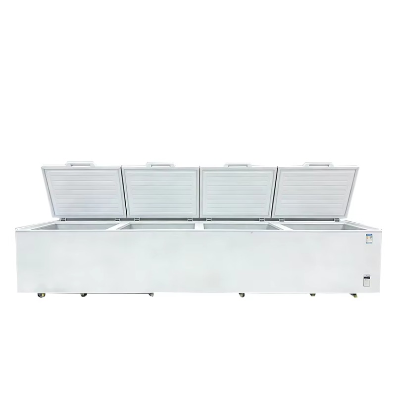 2688 Large Single-Temperature  - Commercial Chest Freezer review and price