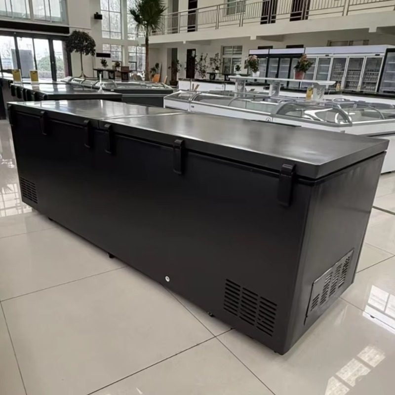 Commercial Double Door Horizon - Commercial Chest Freezer review and price